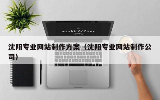 贺州沈阳专业网站制作方案（沈阳专业网站制作公司）